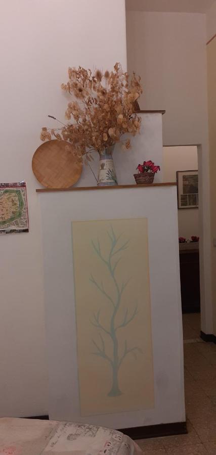 Grandpa Mau Guest house Lucca