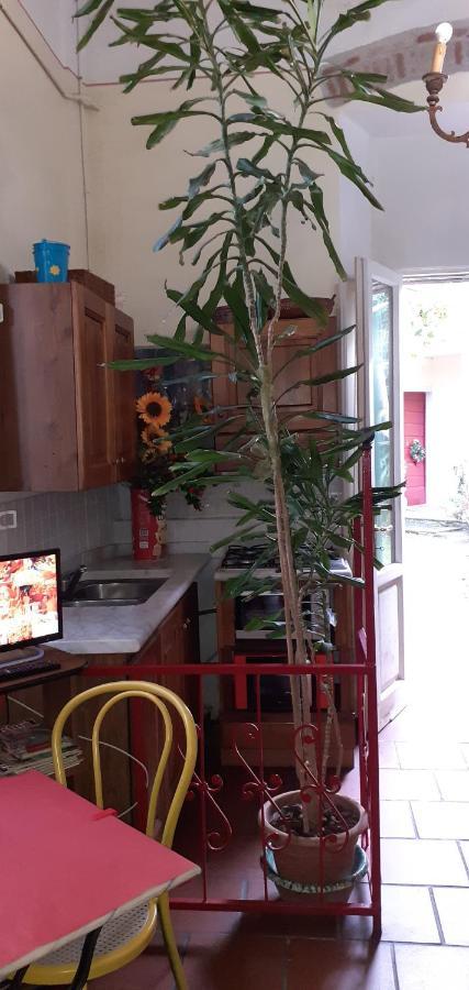 Grandpa Mau Guest house *